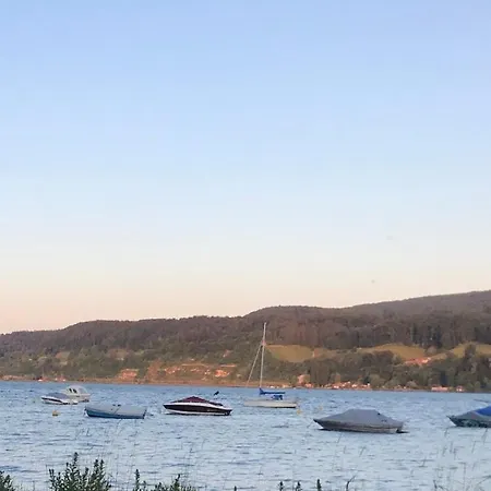 Gemuetliche Grosse 2 Mit Grosser Terasse In Seenaehe, Hoeristrasse 8 In 78343